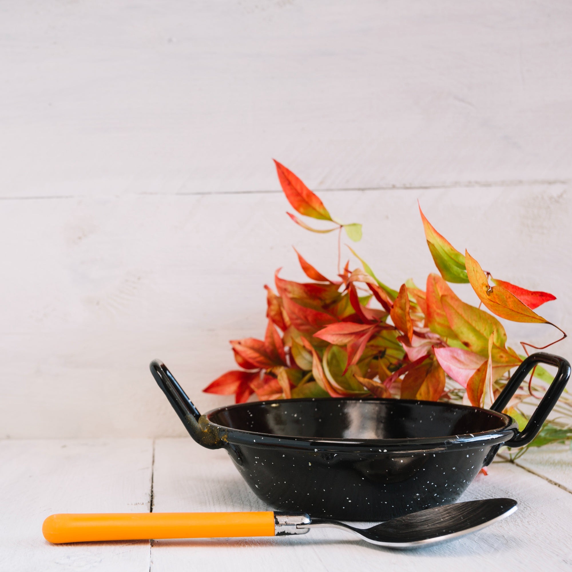 PFAS-Free Cookware